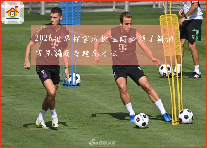 2026世界杯官方投注前必须了解的常见骗局与避免方法